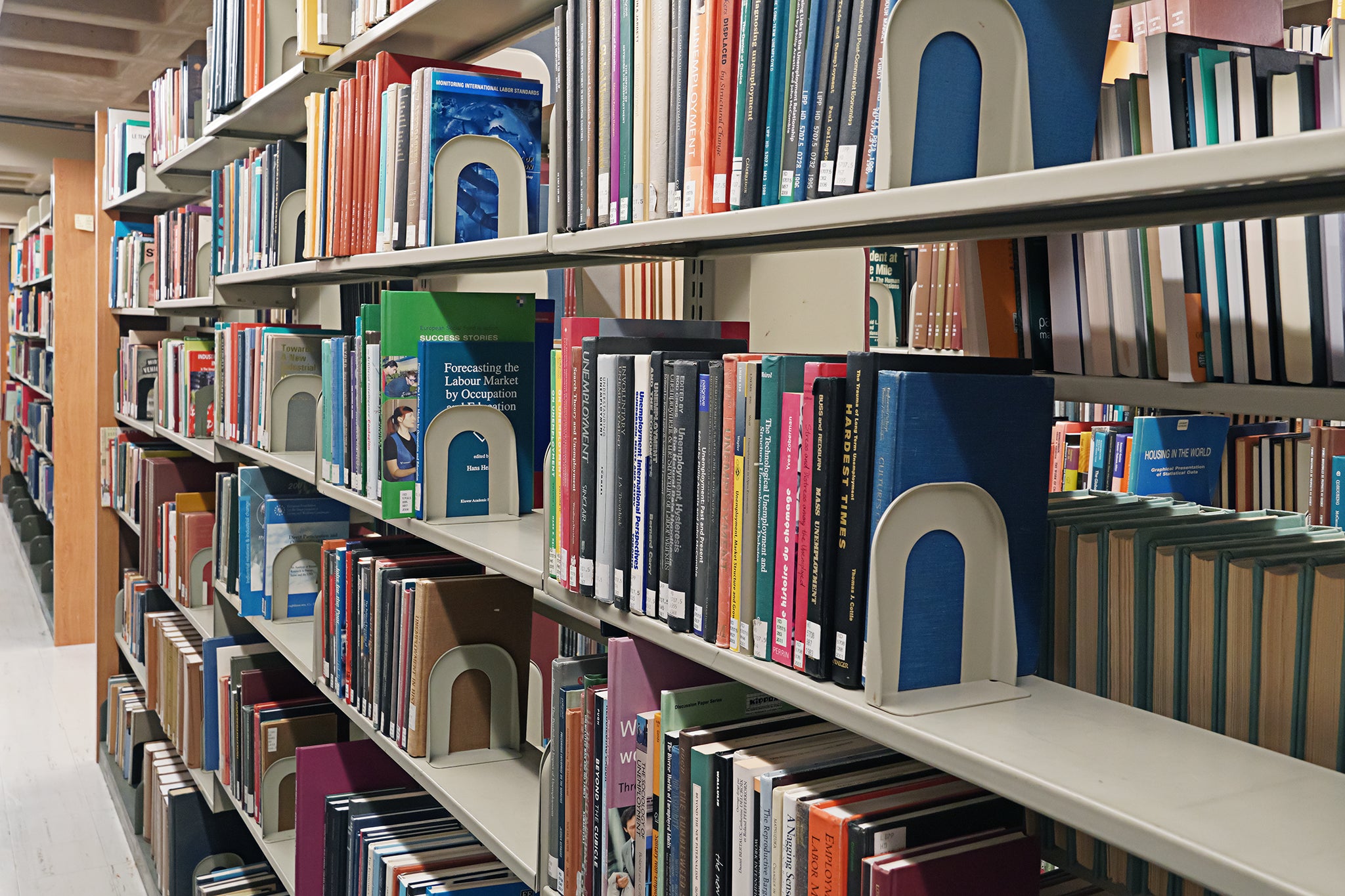 Shelves of books