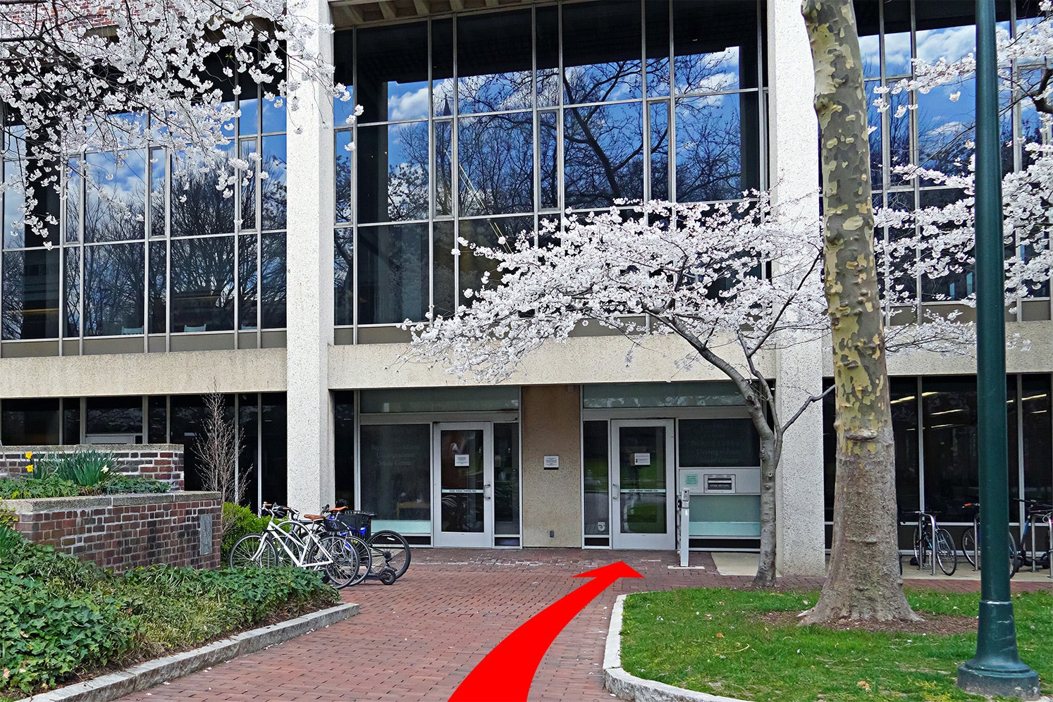 Accessible entrance on the ground floor. A brick walk leads from the north side of Levy Park to the accessible door. At the end of the walk are 2 doors. The accessible door is on the right.