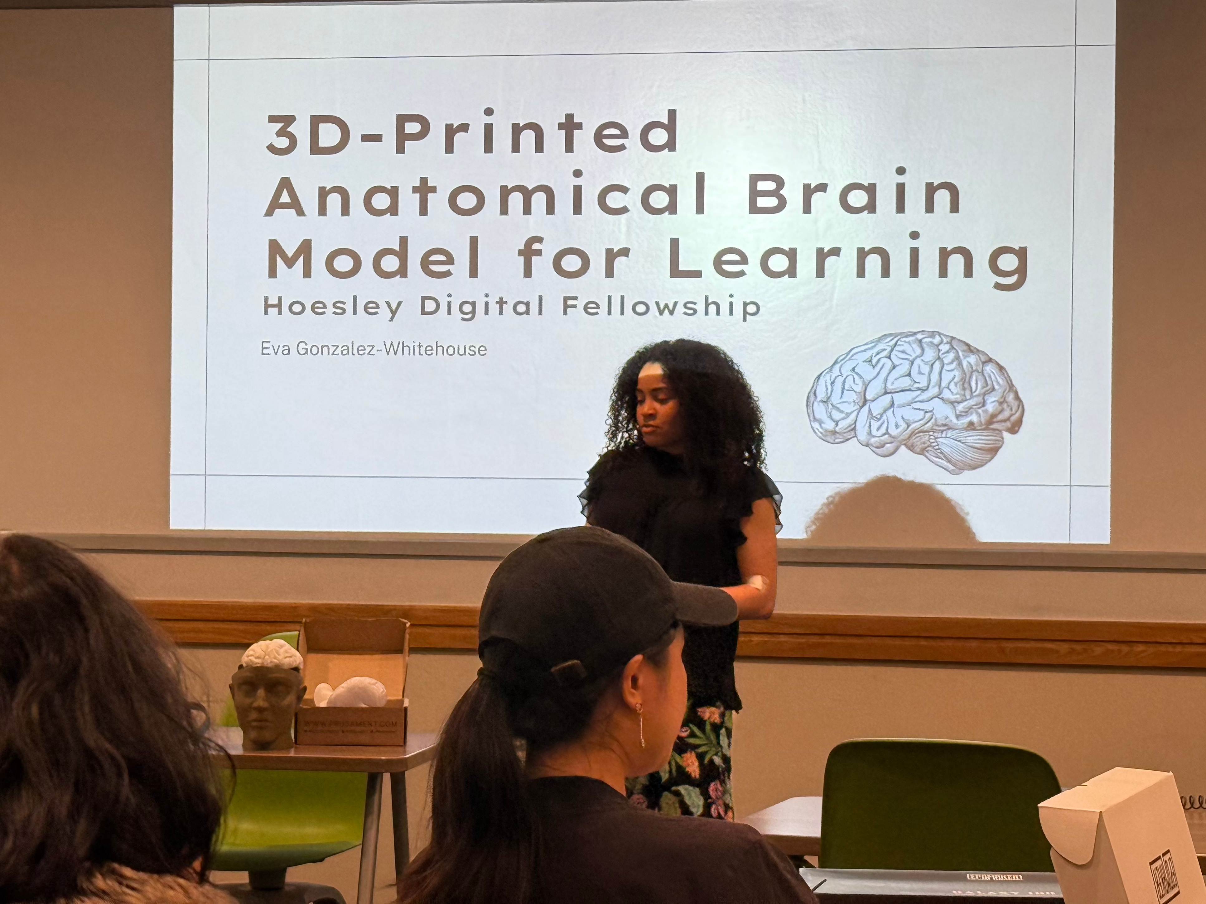 3d printed anatomical Brain Model for learning