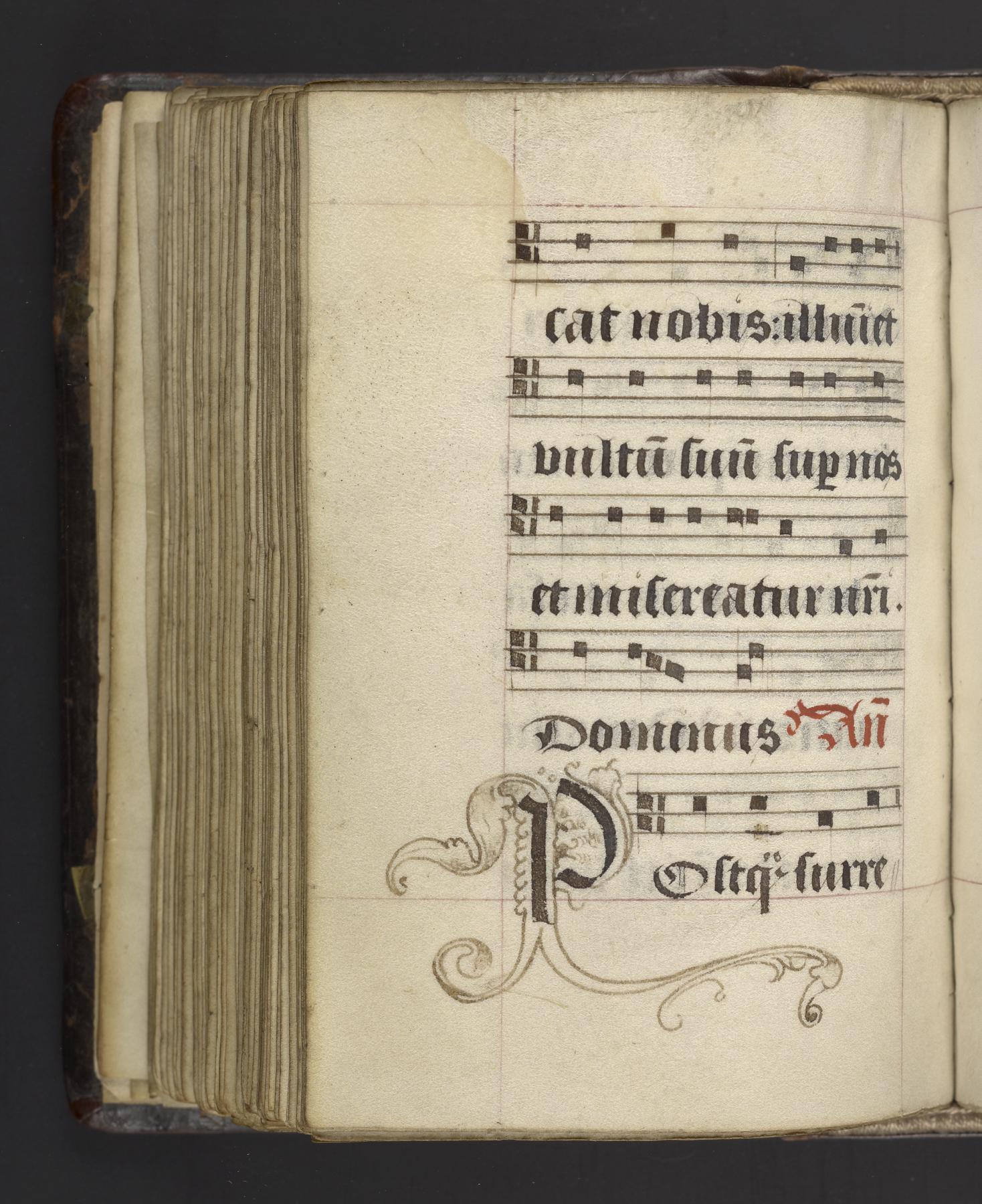 Rescue Your Renovations: House Tool Solutions