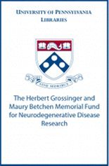 Image of grossinger-betchen-neuro.gif