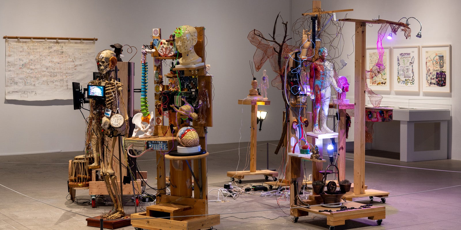 Milford Graves long_1.jpg Sculptural arrangement of anatomical models and wires