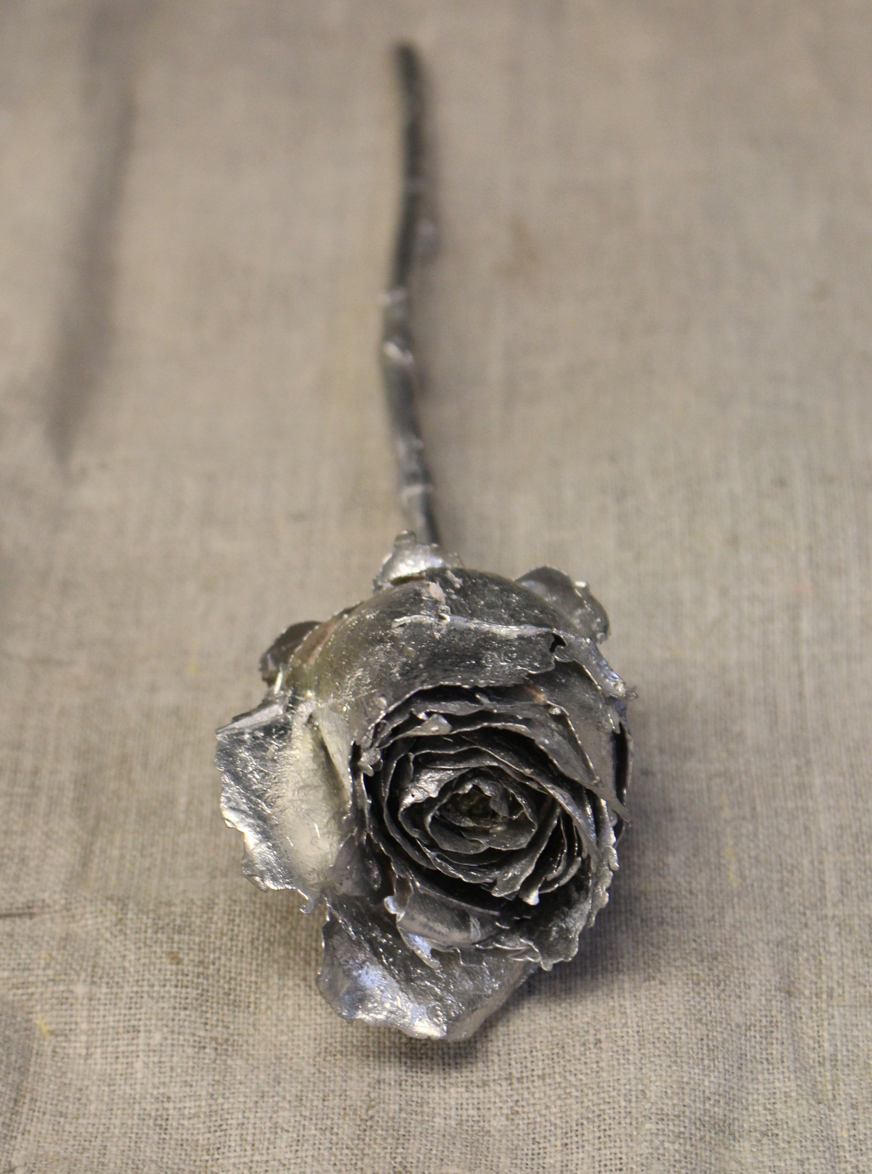 Lifecast of a rose.