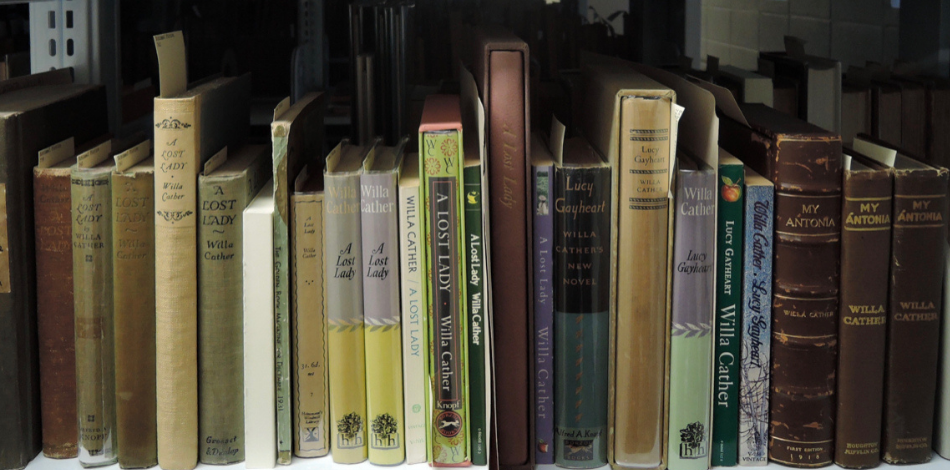 A row of books on a bookshelf.