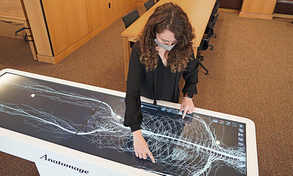 An individual uses two hands to manipulate a life-sized image of the human nervous system on a digital touchscreen. 